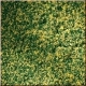 Trvnat koberec, rozkvitnut mjov lka (15 x 25 cm)