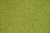 Trvnat koberec - letn lka, 120x60 cm
