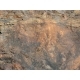 Flia "pokren" skala,45 x 25,5 cm, pieskovec