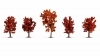 Set Jesenn stromy, 5 ks