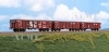 Set 3 n�kladn�ch vag�nov Tamns 895, DB Cargo, s graffiti, set A