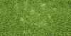 Posypov� materi�l - L�stie, svetlozelen� 100g