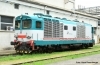 Diesellok D.445 3.Serie mit Schneepflug FS VI