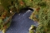 Pond