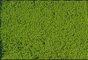 HEKI mikroflor light green / 28 x 14 cm