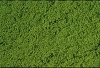 Foli� mikroflor, strednezelen�