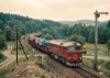 N�kladn� vlak - Autotransport Sergej a LIAZky (digit�lny so zvukom)