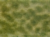 Folia� zeleno-b�ov�