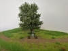 Ag�t - �trvorkme�, 12 cm