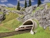ICE/Road Tunnel portal