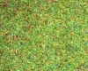 Tr�vnat� koberec - kvitn�ca l�ka - 120x60 cm