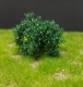 Skaln� kr�ky, 3cm