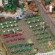 Zelenina (kapusta, �al�t, brokolica, karfiol)