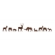 Deer