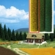 Wheatfield