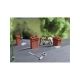 Chimney Assortment