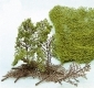 Sada HEKI flor - listnat� strom�eky
