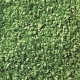 L�stie, svetlozelen�, 50g
