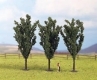 H0/TT - Topole (3 ks /12cm)