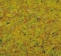 Scatter Grass �Summer Meadow�