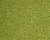Trvnat koberec - jarn trva - 120x60cm