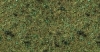 Posypov materil - Trva rozptlen v lese 120g