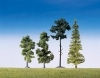 15 Mixed forest trees, assorted