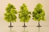 Deciduous trees light green 11 cm