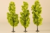 Deciduous trees light green 15 cm