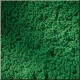 Trvnat koberec, tmavo zelen (15 x 25 cm)