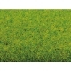 Grass Mat Spring Meadow