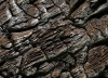 Skaln stena - vrstevnat hornina (33x19 cm)