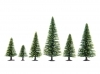 Model Spruce Trees